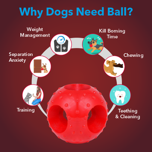 Meat Up Hole Ball Toy+Chew Bone Toy,5 inches+Grooming Hand Brush+Chicken Sticks 100g(Buy1Get1Free)+Adult Dog Food, 1.2 kg(Buy1Get1Free)