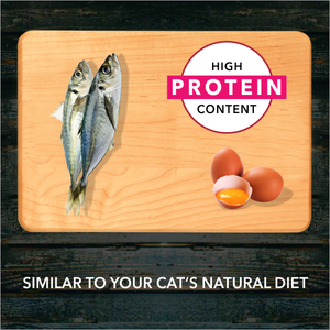 Meat Up Adult Cat Food, 1.2 kg (Buy 1 Get 1 Free )