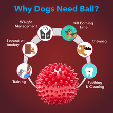 Load image into Gallery viewer, Meat Up Super Combo - Rubber Spike Ball Chew Toy + Rubber Dog Chew Bone Toy, 8.5 inches + Stainless Steel Dog Feeding Bowl, 850 ml (Buy 1 Get 1 Free) + Real Chicken Biscuit, 500g (Buy 1 Get 1 Free) +  Puppy Dog Food, 1.2 kg (Buy 1 Get 1 Free)

