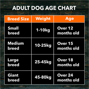 Meat Up Adult Dog Food, 3 kg (Buy 1 Get 1 Free)