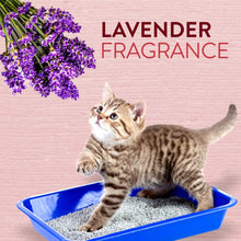 Load image into Gallery viewer, Meat Up Clumping Lavender Fragrance Cat Litter (Buy 1 Get 1 Free)
