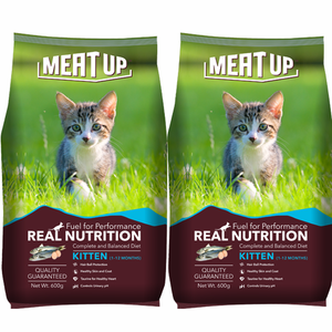 Meat Up Kitten (1-12 Months) Dry Cat Food, Ocean Fish, 600 g (Buy 1 Get 1 Free)